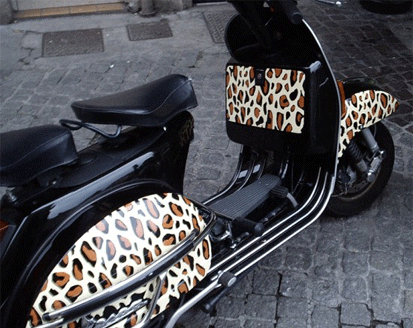Scooter léopard